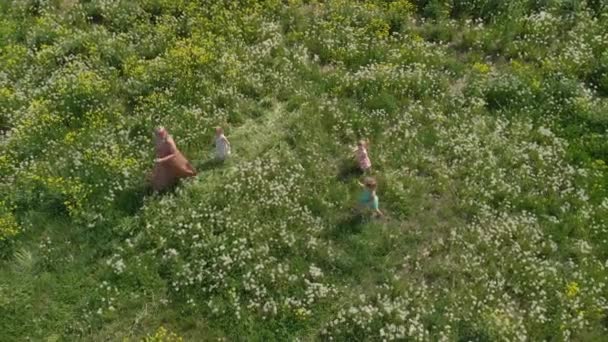 Aerial: Tânăra mamă blondă hippie având timp de calitate mergând și alergând cu fetițele ei la un câmp de păpădie în parc - Fiicele poartă rochii similare cu imprimare de căpșuni - Valori de familie — Videoclip de stoc