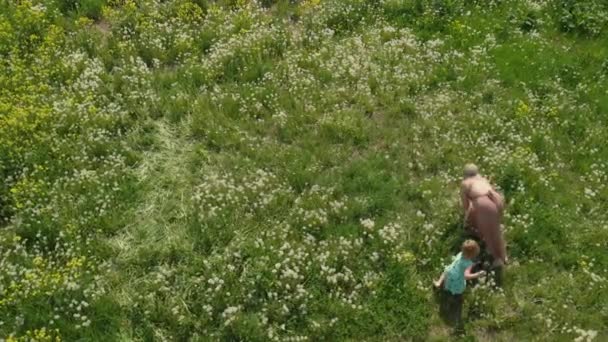 Aérea: Joven madre hippie rubia que tiene tiempo de calidad caminando y corriendo con sus niñas en un campo de diente de león del parque - Las hijas usan vestidos similares con estampado de fresa - Valores familiares — Vídeos de Stock