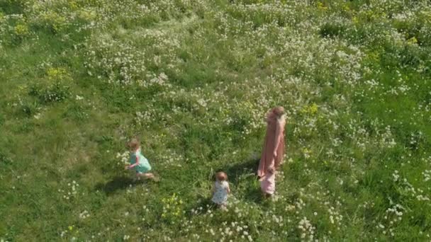 Antenne: jonge blonde hippie moeder met kwaliteit tijd wandelen en rennen met haar baby meisjes in een park paardebloem veld-dochters slijtage soortgelijke jurken met aardbei print-familie waarden — Stockvideo