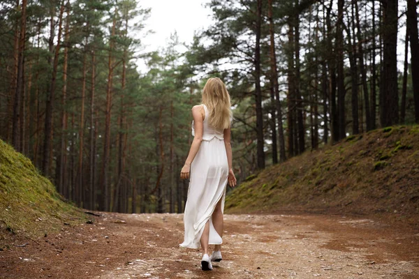 Caminhada Linda jovem loira floresta ninfa em vestido branco em madeira evergreen — Fotografia de Stock