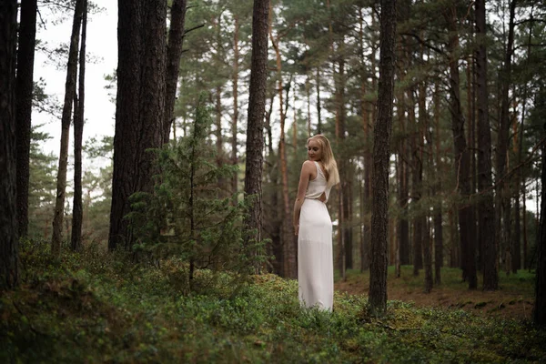 Dökmeyen ahşap beyaz elbise güzel genç sarışın kadın orman perisi Yürüyüş