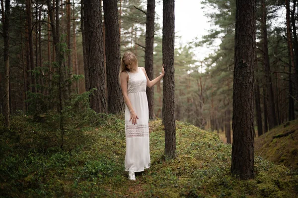 Прогулка Красивая молодая блондинка лесная нимфа в белом платье из вечнозеленого дерева — стоковое фото