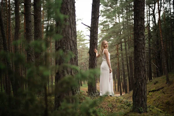 Caminhada Linda jovem loira floresta ninfa em vestido branco em madeira evergreen — Fotografia de Stock