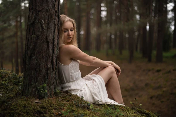 Linda jovem loira sentada na floresta ninfa em vestido branco em madeira evergreen — Fotografia de Stock