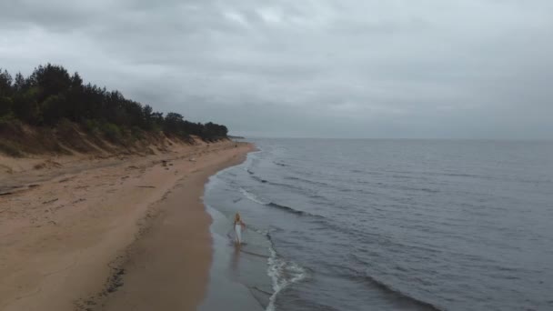 Aérien Belle photo de drone de mer avec des vagues lors d'un temps sombre et terne avec du vent orageux et de la pluie - Europe d'en haut — Video