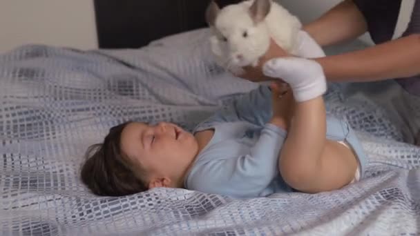 Terhes anya szóló vele Baby fia és csincsilla állat a hálószoba ágyon játszik, és a szórakozás-ázsiai vegyes etnikai gyermek Boy viselt kék test inget mosolygós medve rajzfilm — Stock videók