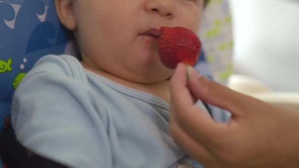 Madre alimentando a su hijo bebé fresa en el asiento del niño - Niño asiático de etnia mixta con camisa azul con dibujos animados oso sonriente Embarazada — Vídeo de stock