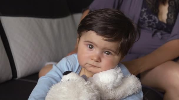Mãe brincando com ursinho de pelúcia e seu filho bebê apartamento interior - Asiático misturado etnia criança Menino vestindo camisa de corpo azul com urso sorridente desenho animado Grávida — Vídeo de Stock