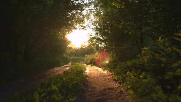 Naplemente ország off road szép esti napfény sugarakat, zöld lombos fák körül-természet egy remek hely a kikapcsolódásra, a háttérben — Stock videók