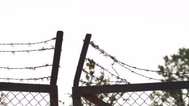 Akşam altın saat gün batımında dikenli tel metal çit - Tehlike kafesi ve özgürlük işareti