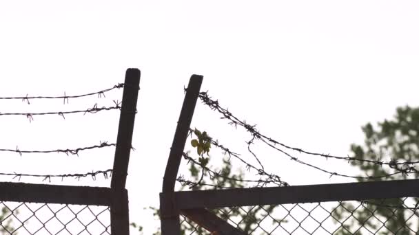 Колючий дріт металевий паркан ввечері золота година заходу сонця ознака небезпечної клітки і відсутність свободи — стокове відео