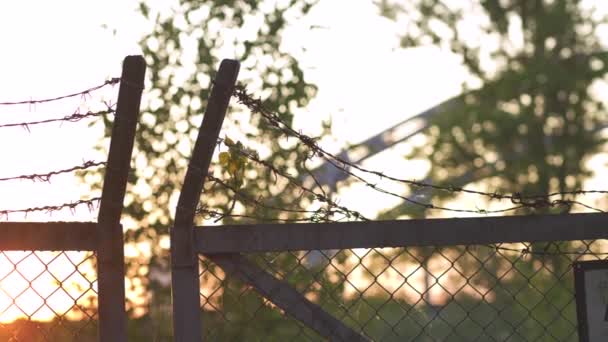 夕方のゴールデンアワーの夕日に有刺鉄線金属フェンス - 危険ケージの兆候と自由なし — ストック動画