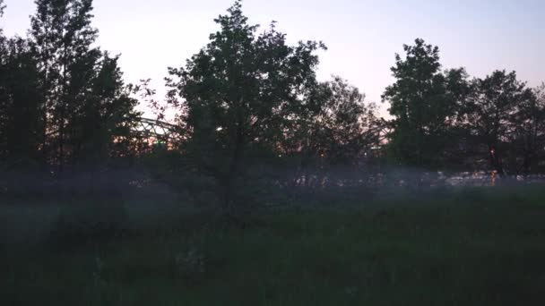 Brume nocturne effrayante dans un parc de Riga, Lettonie avec des couleurs de coucher de soleil vives rose et violet en arrière-plan et une fumée effrayante flottant — Video