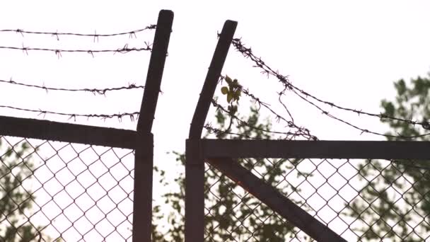 Barbed wire metal fence in the evening golden hour sunset - Sign of danger cage and no freedom — Stock Video