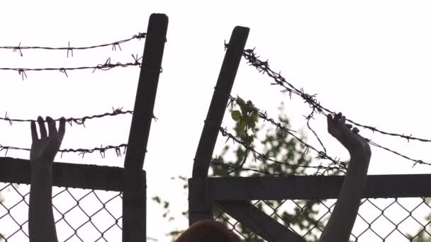 Womans hands holding and grabbing - Barbed wire metal fence in the evening golden hour sunset - Sign of danger cage and no freedom — ストック動画