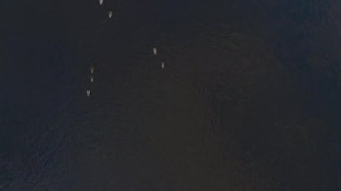 Daugava üzerinde uçan hava nehir görünümü - Akşam güzel doğa su manzara sahne - Drone üst görünümü sinematik profesyonel pürüzsüz hareket