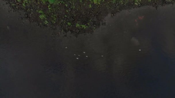 Luftaufnahme des Flusses über Daugava - schöne Natur Wasserlandschaft am Abend - Drone Draufsicht cineastische professionelle sanfte Bewegung — Stockvideo