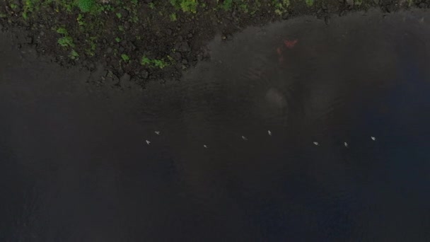 Vista aérea del río volando por encima de Daugava - Hermosa naturaleza paisaje de agua por la noche - Drone vista superior cinematográfica profesional movimiento suave — Vídeo de stock