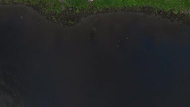 Daugava üzerinde uçan hava nehir görünümü - Akşam güzel doğa su manzara sahne - Drone üst görünümü sinematik profesyonel pürüzsüz hareket