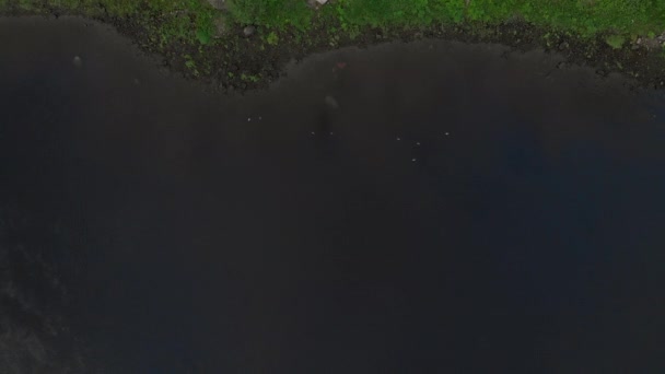 Luftaufnahme des Flusses über Daugava - schöne Natur Wasserlandschaft am Abend - Drone Draufsicht cineastische professionelle sanfte Bewegung — Stockvideo
