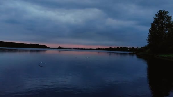 Vue aérienne nocturne des mouettes chassant sur la rivière - Voler très bas vers l'eau pour garder les oiseaux plus près 