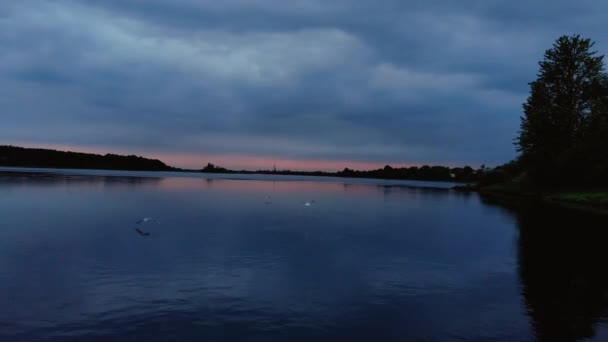 Aerial night evening shot of seagulls hunting on the river - Flying very low to the water to keep birds closer — Stock Video