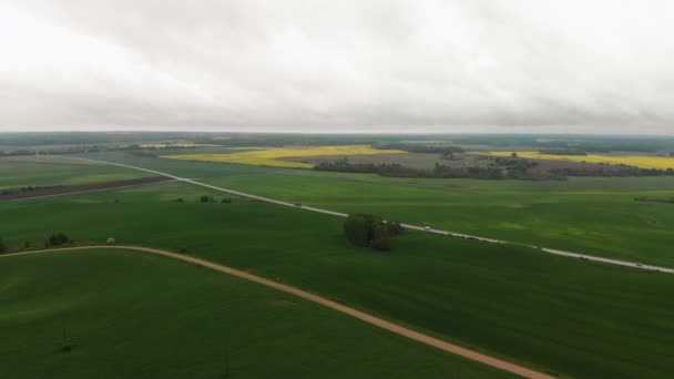 Vista aérea superior do campo de colza durante um belo clima ensolarado - Cor amarela brilhante e céu temperamental - Estradas no fundo — Vídeo de Stock