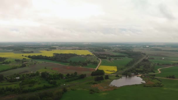 Vista aérea superior do campo de colza durante um belo clima ensolarado - Cor amarela brilhante e céu temperamental - Estradas no fundo — Vídeo de Stock