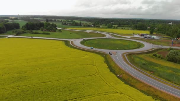 Aerial top view of rapeseed field during a beautiful sunny weather - Bright yellow color and moody sky and roundabout road in the background — Stock Video
