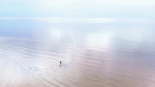 Aerial: Young woman in blue bright dress walking around - Shallow water scenic yellowish sunset landscape at the Baltic Sea - Drone flying view from above — Stock Video