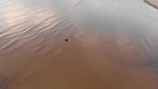 Antenne: jonge vrouw in blauwe heldere jurk leggen-ondiep water Scenic geelachtige zonsondergang landschap aan de Baltische Zee-drone vliegen uitzicht van bovenaf — Stockvideo