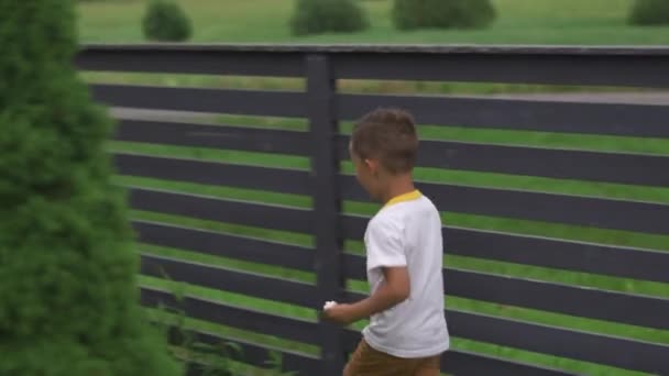 Bambino figlio giocare a nascondino in un giardino indossando t-shirt e pantaloncini - Valori familiari caldo colore scena estiva — Video Stock