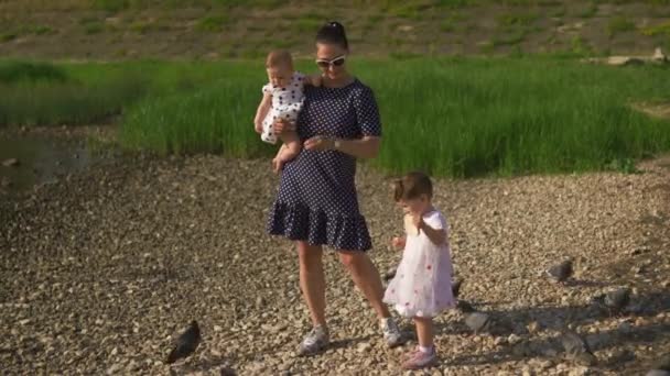 Jonge moeder met haar baby meisje dochters voeden zwaan en kleine eendjes vogels brood op een rivier dragen gestippelde jurk-familie waarden warme kleur zomer scène — Stockvideo