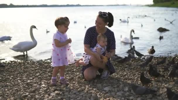 Young mother with her baby girl daughters feeding swan and little ducklings birds bread at a river wearing dotted dress - Family values warm color summer scene — Stock Video