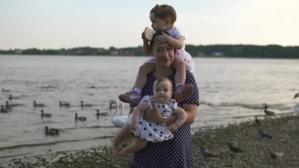 Jonge moeder met haar baby meisje dochters voeden zwaan en kleine eendjes vogels brood op een rivier dragen gestippelde jurk-familie waarden warme kleur zomer scène — Stockvideo