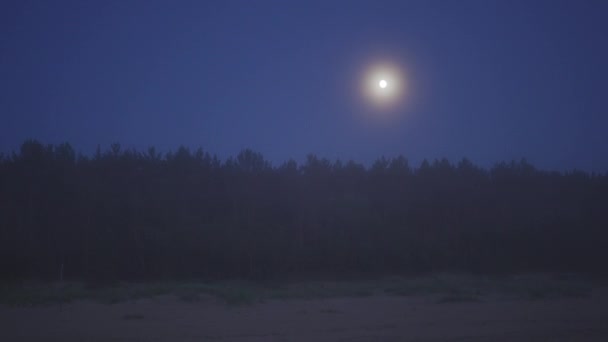 숲 숲 위의 밝은 빛나는 달과 놀라운 어두운 안개 희귀 유령 일몰 — 비디오