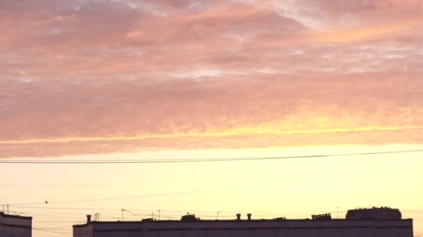 朝の柔らかいピンク色の素晴らしい日の出ゼファーおいしいキャンディ雲 — ストック動画