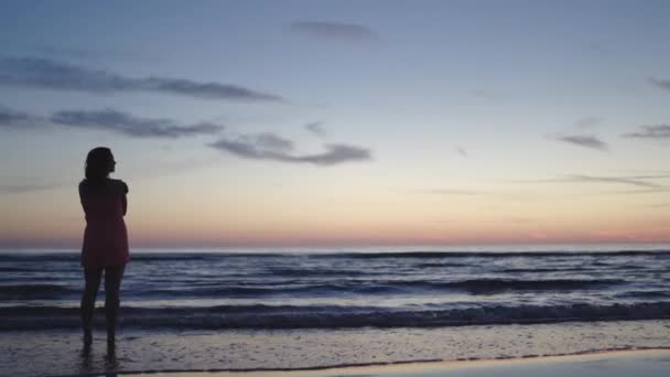 Junge Frau in leuchtend zartem roten Kleid steht am Wasser und genießt das Leben und die Natur weit entfernt im Hintergrund beim Sonnenuntergang — Stockvideo