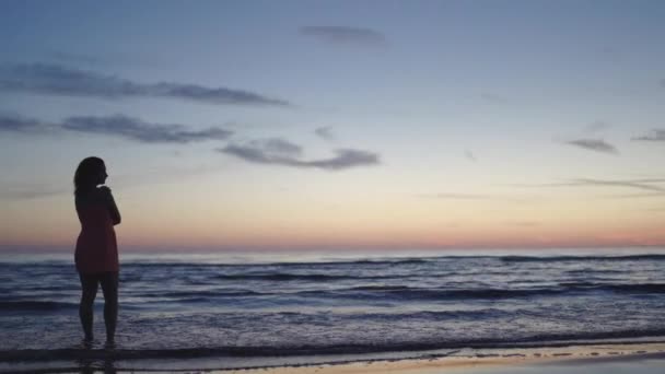 Junge Frau in leuchtend zartem roten Kleid steht am Wasser und genießt das Leben und die Natur weit entfernt im Hintergrund beim Sonnenuntergang — Stockvideo