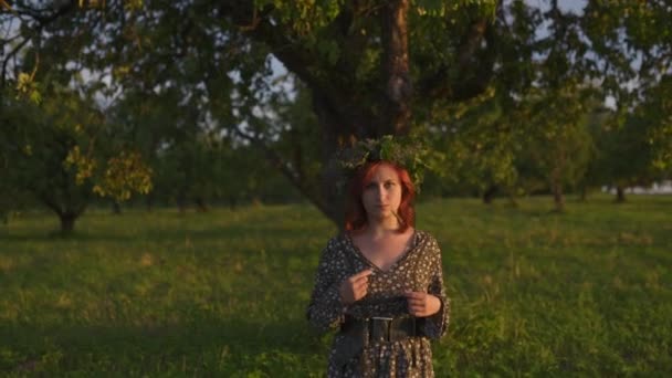 Porträtt: rödhårig ung kvinna i en krans under traditionell lettisk Ligo midsommar dag-kaukasisk vit flicka klädd i en prickig sommarklänning med ett bälte i solig solnedgång — Stockvideo