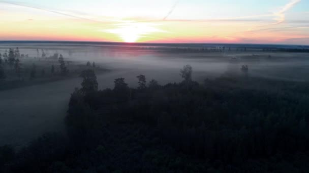 Volo aereo vista dall'alto: spaventoso spettrale nebbioso mattina natura paesaggio scuro - scenario appannato — Video Stock