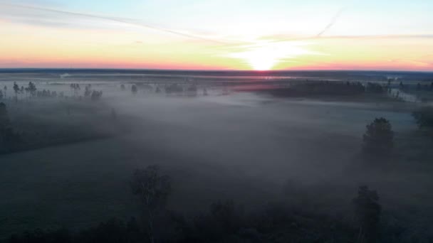 Lotnicze pływające widok z góry: straszny upiorny mglisty charakter rano ciemny krajobraz-mgliste dekoracje — Wideo stockowe