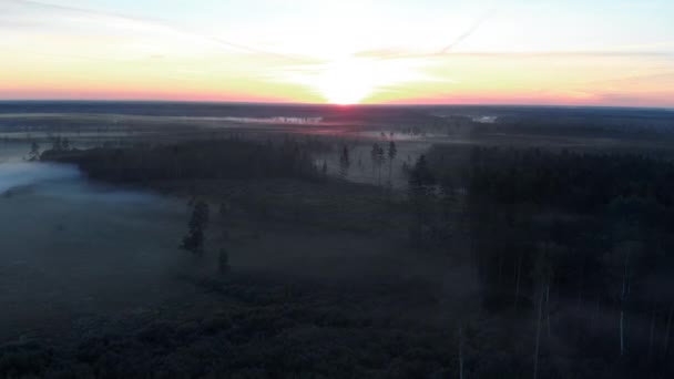 空中飛行トップビュー:怖い不気味な霧の朝の自然暗い風景 - 霧の風景 — ストック動画