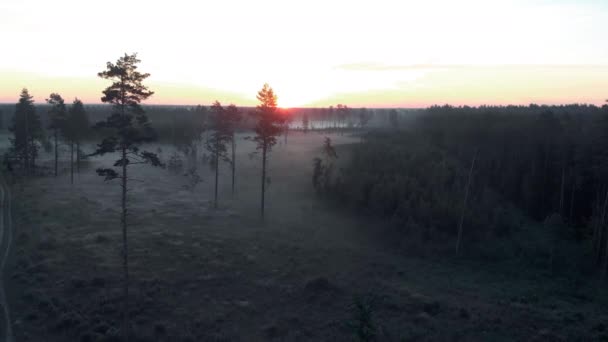 Εναέρια πτήση με πανοραμική θέα: τρομακτική ανατριχιαστική πρωινή φύση σκοτεινό τοπίο-ομίχλη τοπίο — Αρχείο Βίντεο