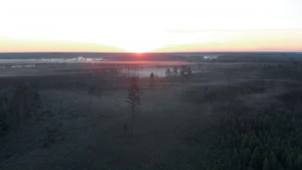 Lucht vliegend bovenaanzicht: eng Spooky Misty ochtend natuur donkere landschap-mistige landschap — Stockvideo