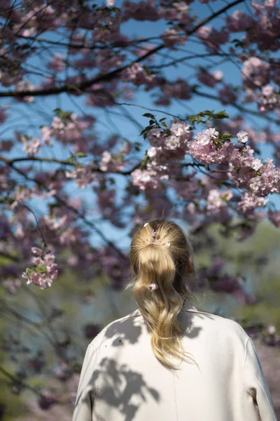 Красивая блондинка в парке Сакура Черри Блоссом весной наслаждается природой и свободным временем в свободное от путешествий время - в белых брюках и футболке с бежевой курткой — стоковое фото