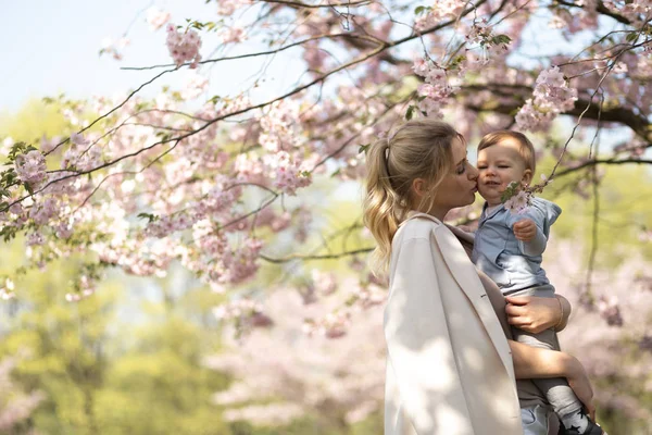 Genç anne düşen pembe yaprakları ve güzel çiçekleri ile çiçek açan Sakura Kiraz ağaçları altında onu küçük bebek erkek çocuk çocuk tutan