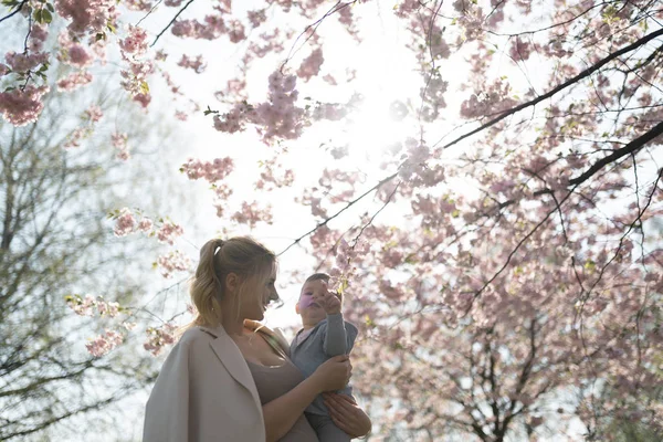 Молодая мама держит своего маленького сына мальчика ребенка под цветущими сакурой вишни с падающими розовыми лепестками и красивыми цветами — стоковое фото