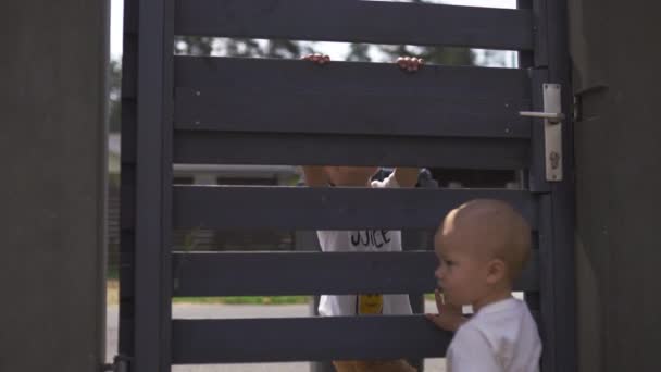 庭のフェンスに登る彼女の男の子の息子の兄弟と若い母親 - 家族は暖かい色の夏のシーンを値 — ストック動画