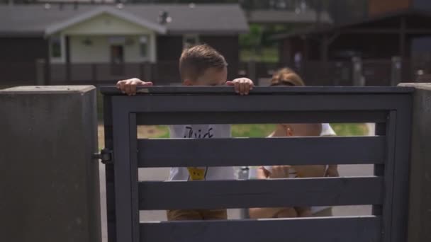 Jeune mère avec son petit garçon fils frères grimper sur une clôture de jardin - Valeurs familiales couleur chaude scène d'été — Video